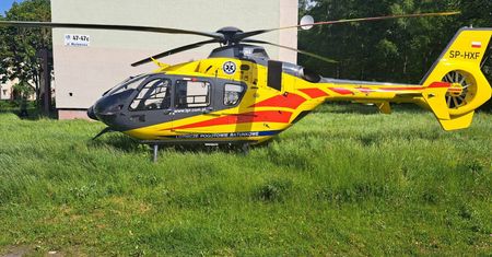 Wstrząs po użądleniu pszczoły na Śląsku. Helikopter LPR w akcji