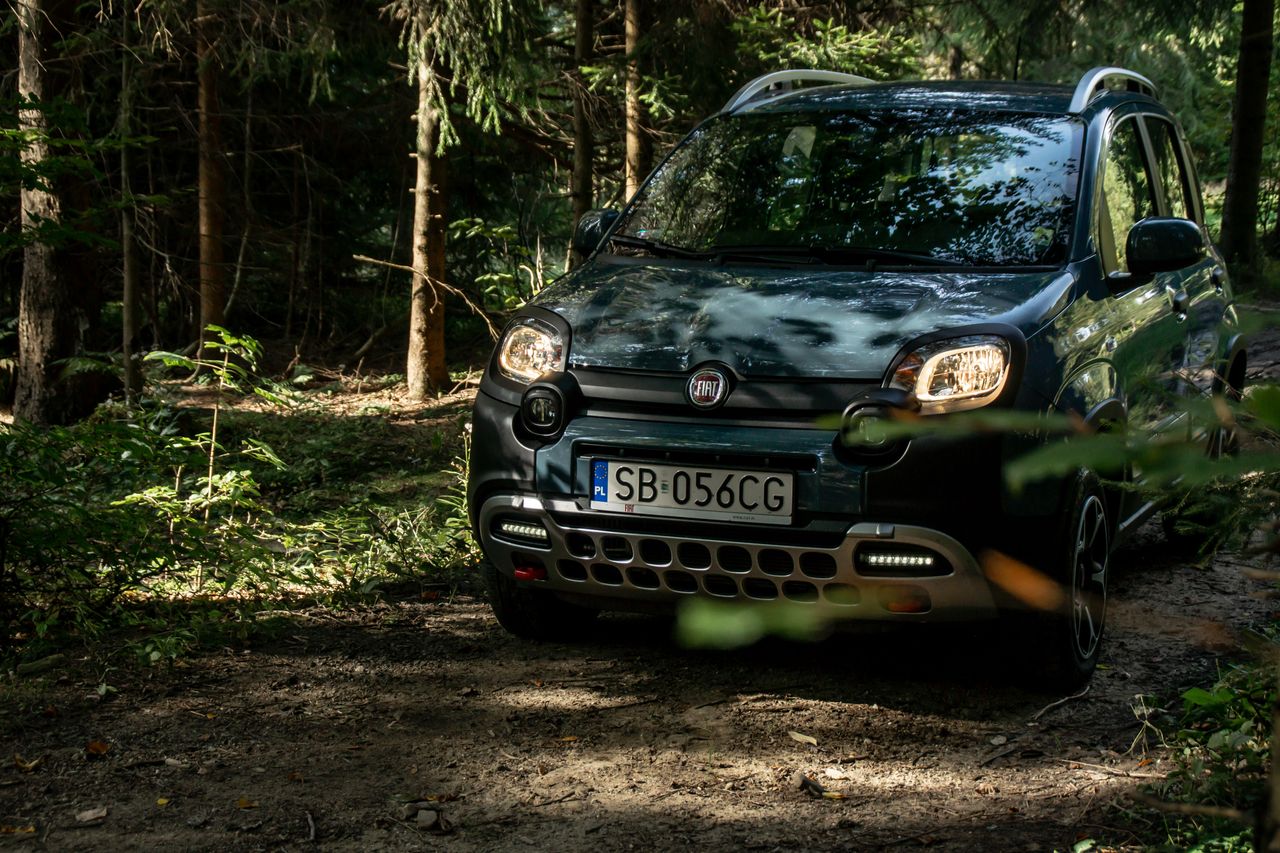 Fiat Panda Cross 4x4 (2021)