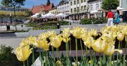 Chrzanów: Najlepsze miasto do życia w Małopolsce