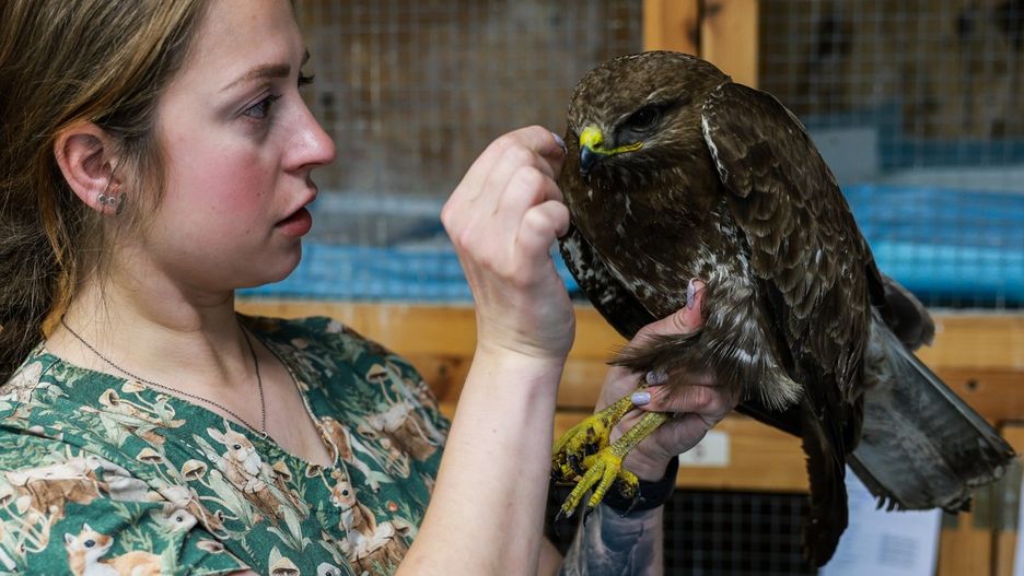 Ośrodek Rehabilitacji Dzikich Zwierząt w Kościanie
