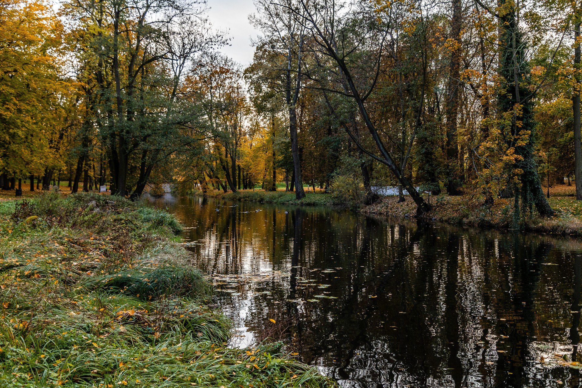 Jesienna odsłona Parku Miejskiego w Skierniewicach