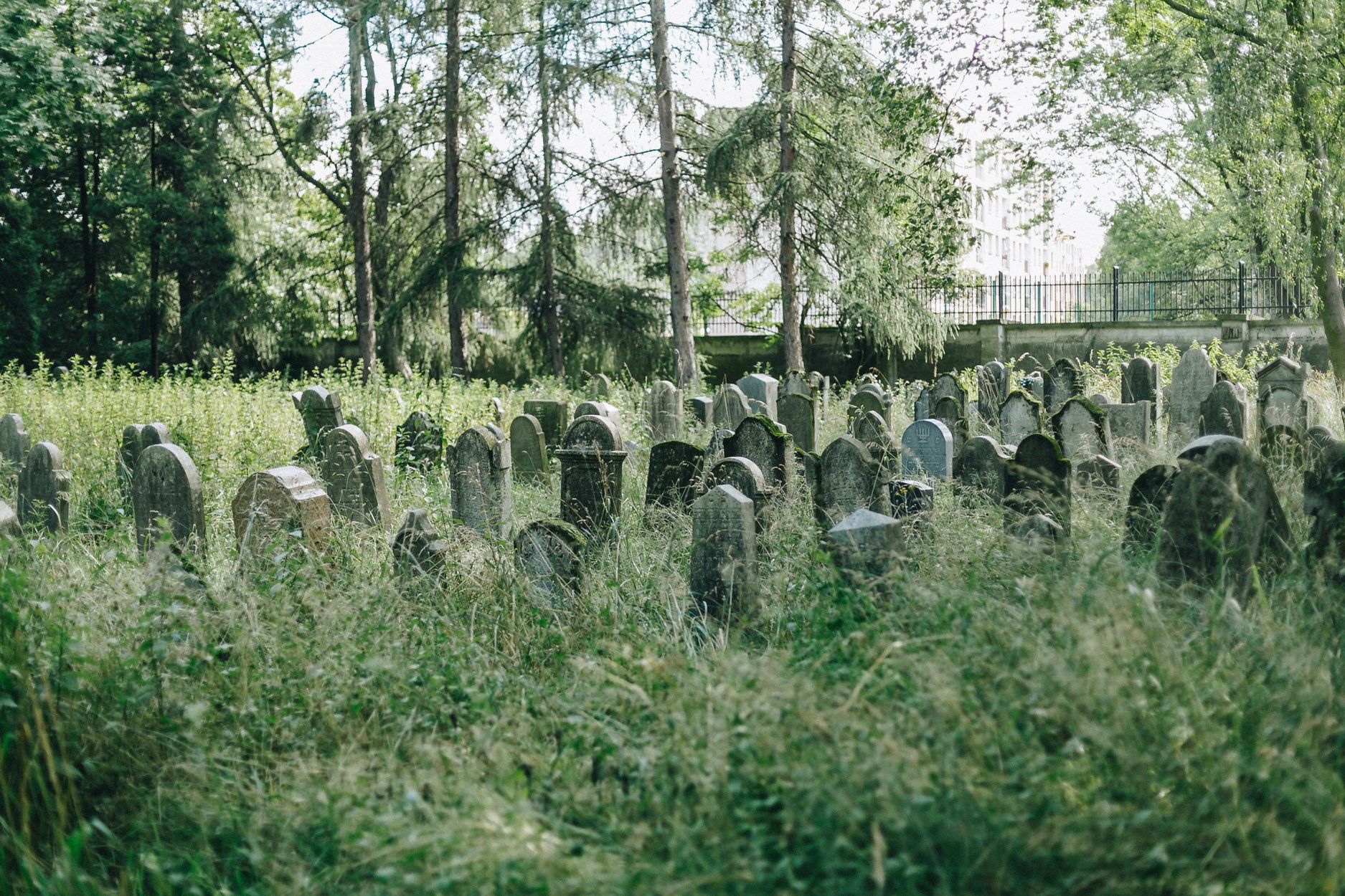 W zbiorach muzeum są zdjęcia różnych miejsc z Oświęcimia