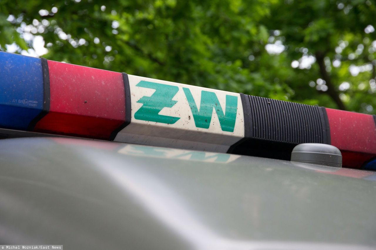 Żołnierz grasował z maczetą. Zaatakował przechodnia