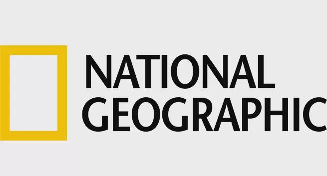 Świetne wyniki National Geographic Polska na YouTube