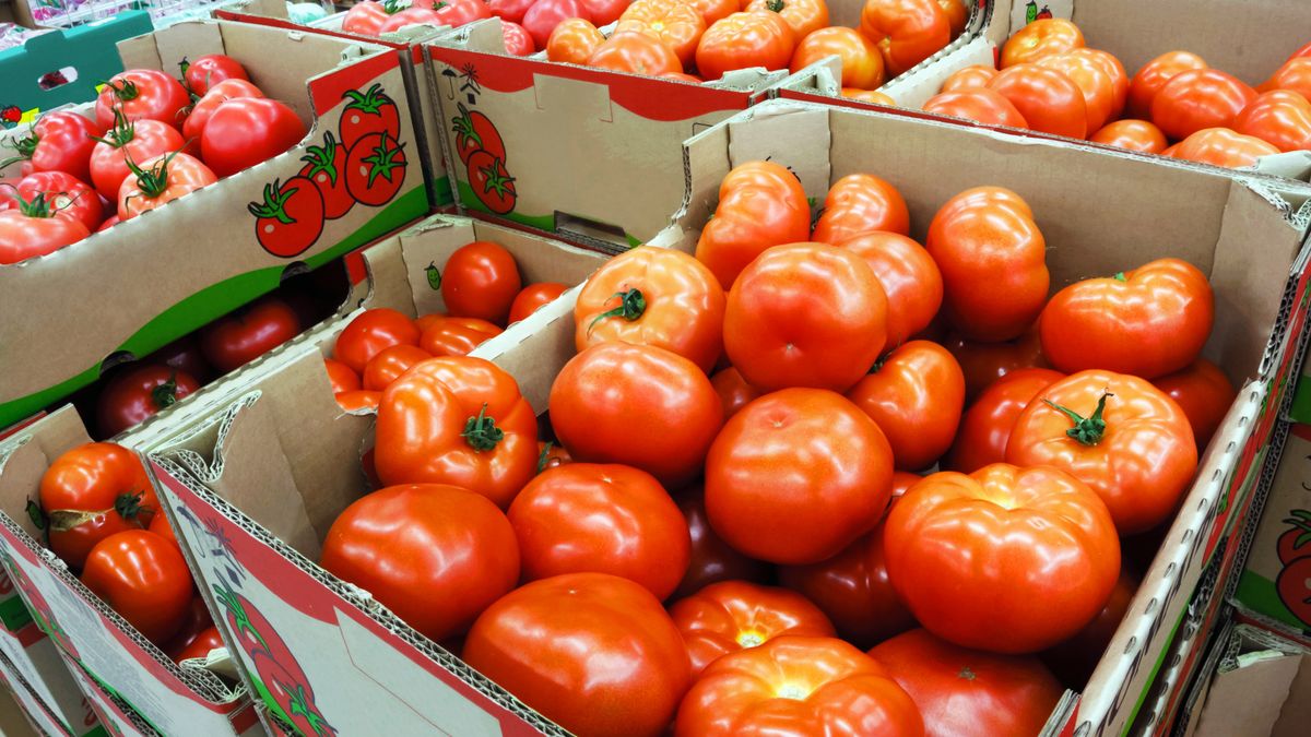 Ile ton sprowadzono do Polski?