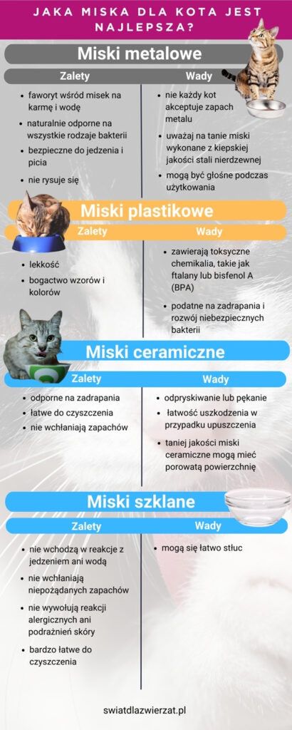Jaka miska dla kota jest najlepsza? Kompletny przewodnik