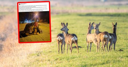 To zdjęcie chwyta za serce. Grzała ją przez dwie godziny