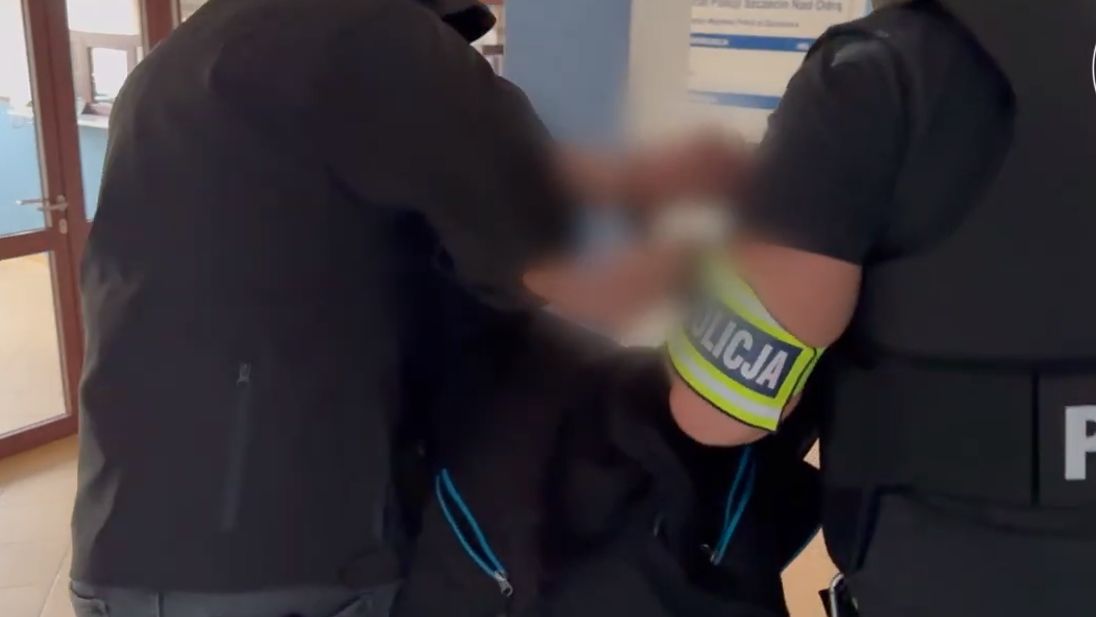 policja
