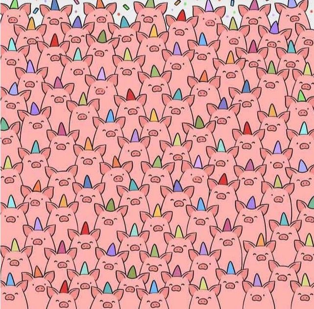 Które świnki nie mają czapek?