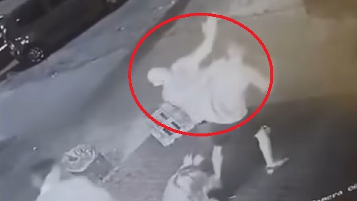 Żabka atak nagranie