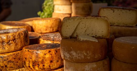 Mleczarnia w kryzysie. Będzie produkować kosmetyki