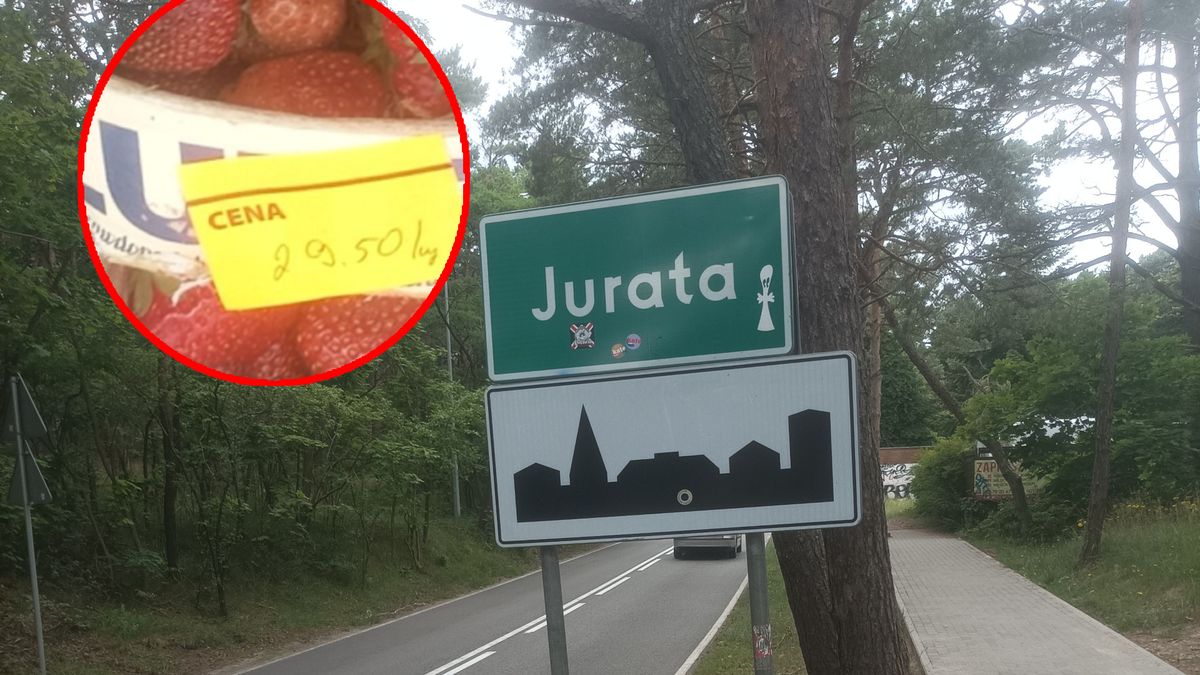 Ogromna cena za kilogram truskawek w Juracie