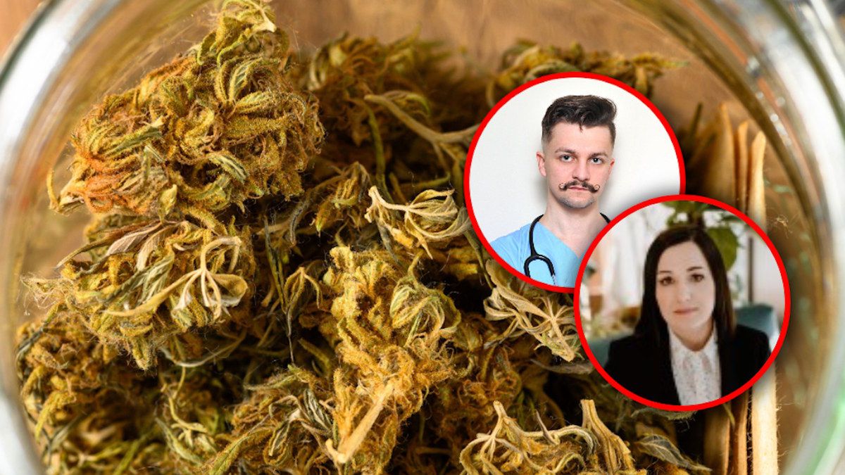 Przepisują marihuanę medyczną, choć nie powinni. Lekarz: Nie ma jednoznacznych rekomendacji