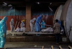 Koronawirus w Indiach. Rezygnacja czołowego wirusologa. Nie podał powodu