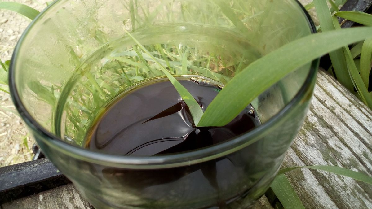 Trawa cytrynowa posiada wiele właściwości