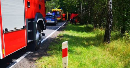 Teofilów. Śmiertelny wypadek na DK 48. Motocyklista wjechał w drzewo