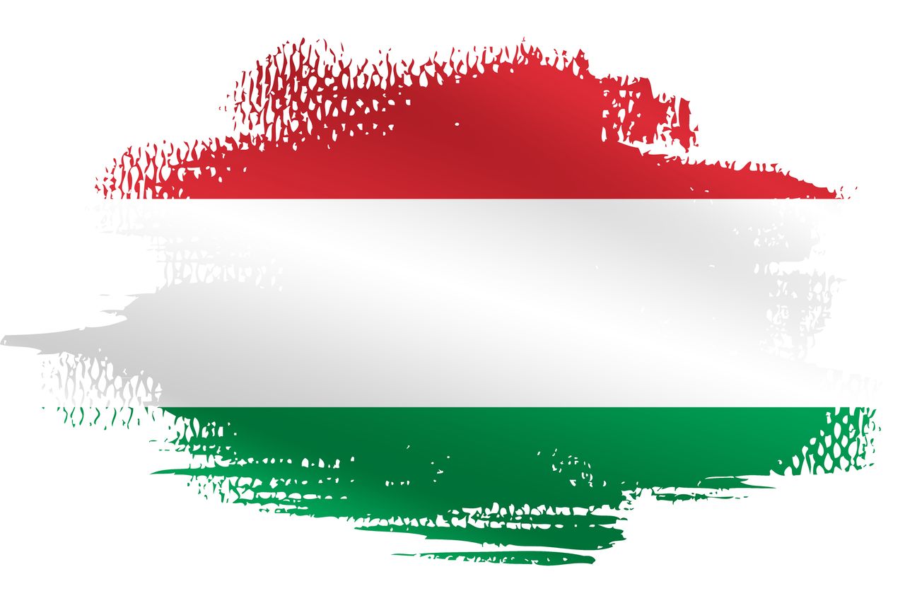 The Hungarian flag.