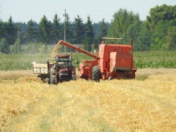 Rolnictwo. Wnioski o zwrot akcyzy można składać tylko do 1 września