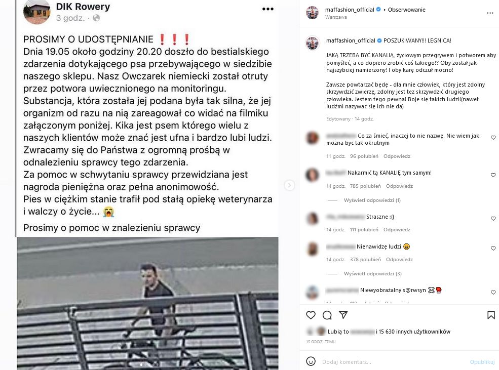 Maffashion pomaga w znalezieniu mężczyzny, który otruł psa