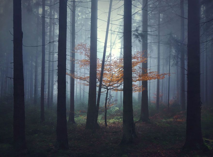 Mistyczne krajobrazy inspirowane baśniami braci Grimm 12