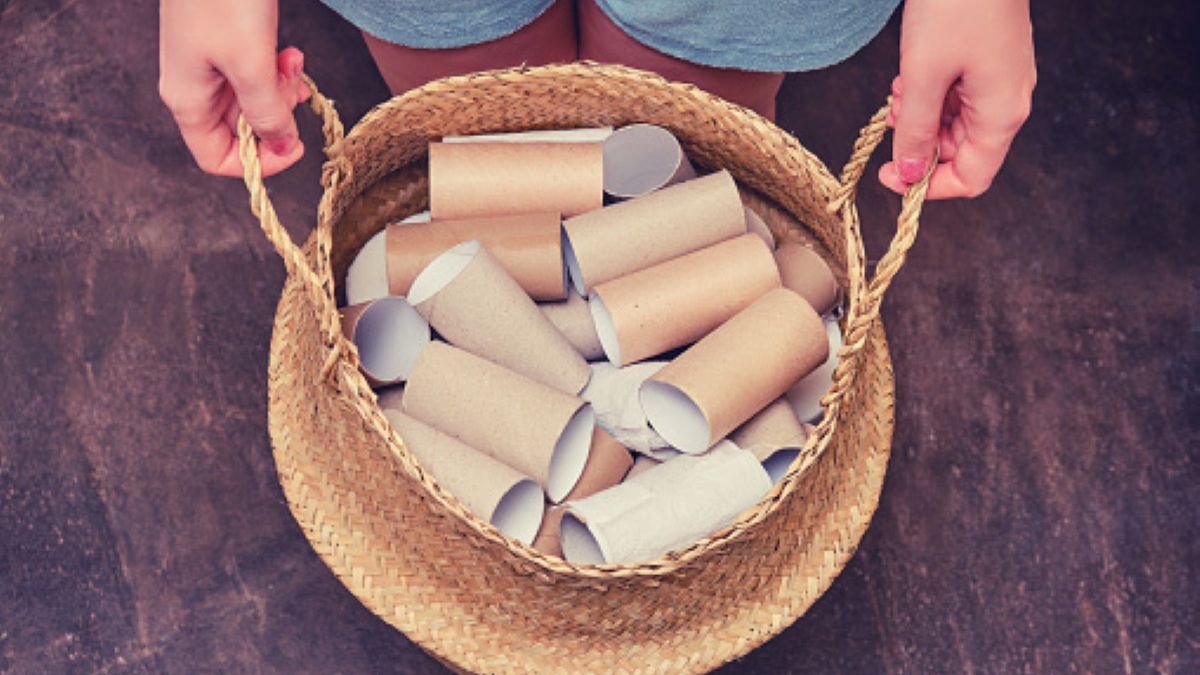 Rolki po papierze toaletowym mogą nam służyć jako doniczki dla małych roślin