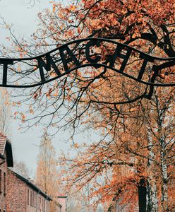 Kolejna aukcja rzeczy z Auschwitz. Brak reakcji Polski