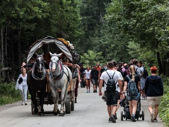 Majówka w Tatrach bez zmian. Konie pozostają na trasie do Morskiego Oka