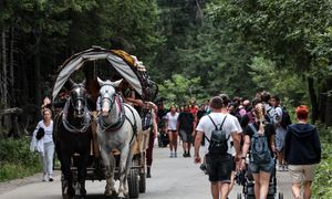 Majówka w Tatrach bez zmian. Konie pozostają na trasie do Morskiego Oka