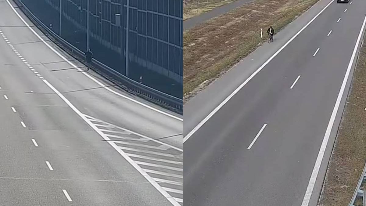 Biegacz na S12, rowerzysta na S19