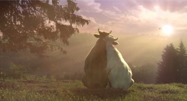 KER: reklama mleka Łaciate nie sugeruje przewagi fizycznej mężczyzn nad kobietami