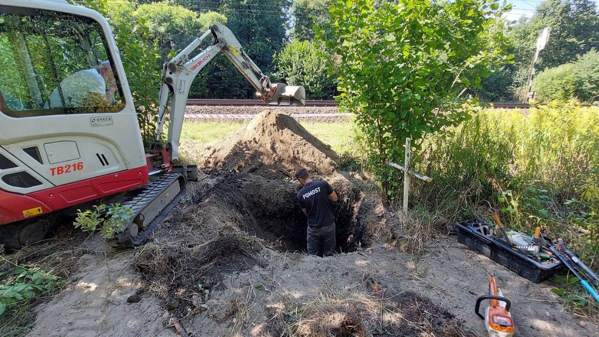 Kolejne odkrycie w Polsce. Na reakcje z Niemiec nie trzeba było czekać.