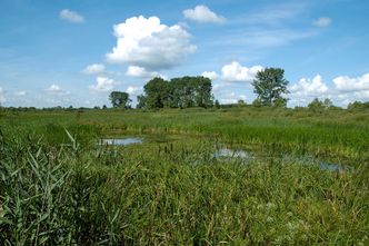 NIK skontrolował parki narodowe. Izba zawiadomiła prokuraturę