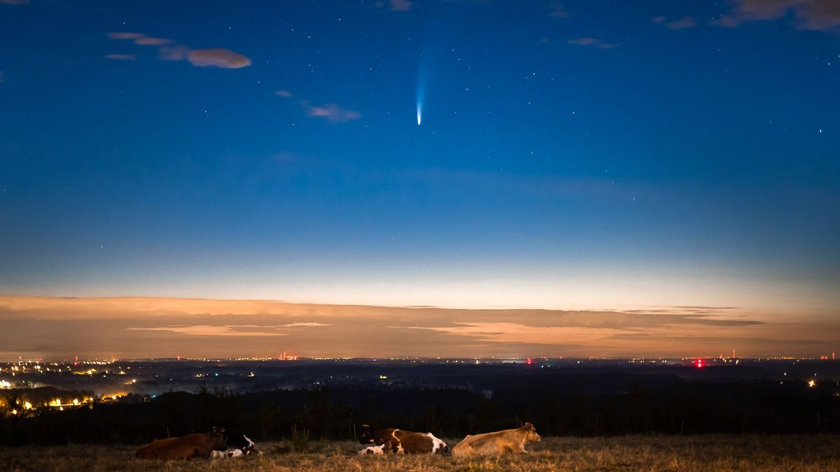 Kometa NEOWISE była widoczna w Polsce. Oto wasze zdjęcia 1