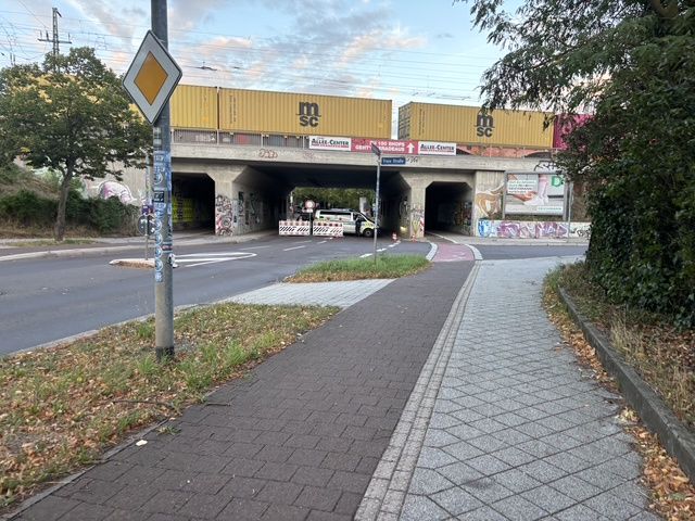 "Twierdza" Magedburg. Duże siły policji przed wiecem AfD