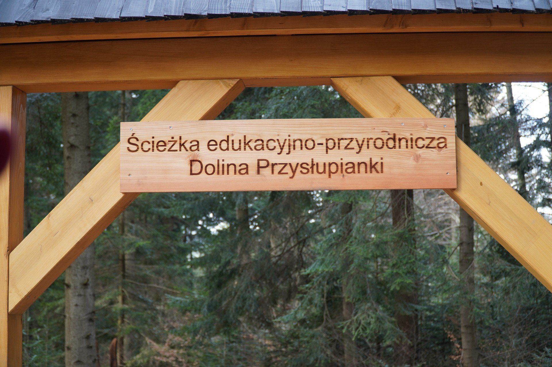 Ścieżka edukacyjna z Nowicy do Leszczyn