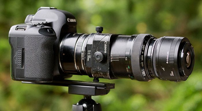Fotografia makro - praktyczne porady dla początkujących [poradnik] 3