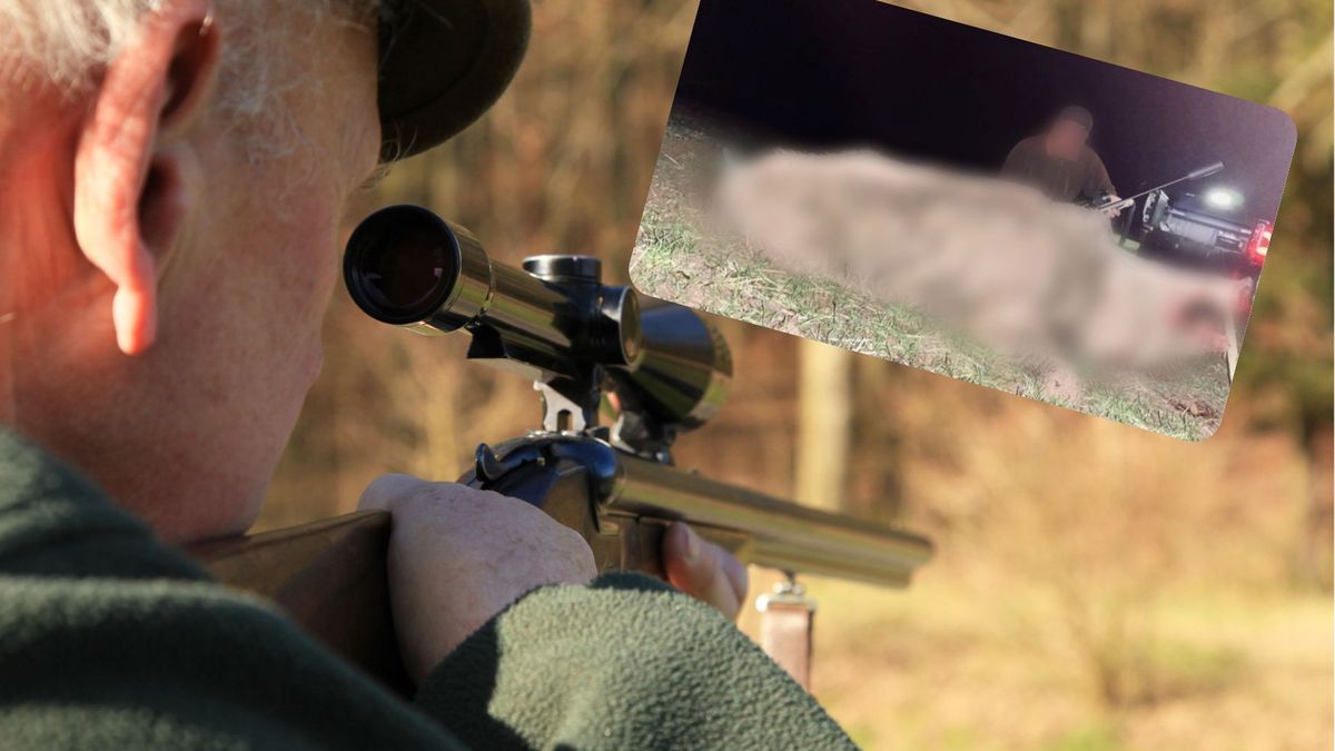 Mężczyzna pochwalił się zdjęciem upolowanego odyńca