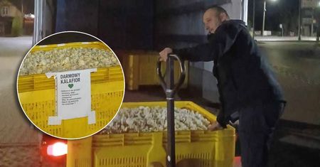 Rolnicy rozdali tony kalafiora za darmo. „Cena poniżej kosztów produkcji, koniec polskiego chłopa!” [ZDJĘCIA]