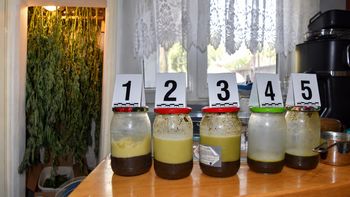 Pilanin miał plantację konopi i 3,5 kg masła z THC!