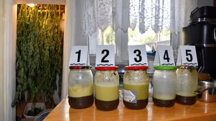 Pilanin miał plantację konopi i 3,5 kg masła z THC!