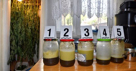 Pilanin miał plantację konopi i 3,5 kg masła z THC!