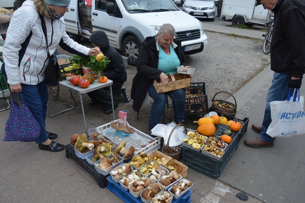 Na targu stragan z grzybami leśnymi
