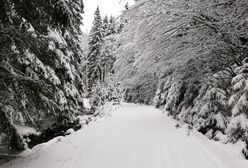Karkonosze. Piękna zima bywa również niebezpieczna. Trudne warunki w górach