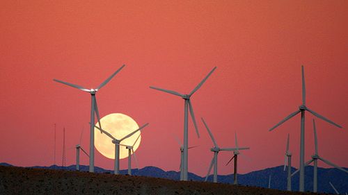 Google wykłada 39 milionów na farmy! 1