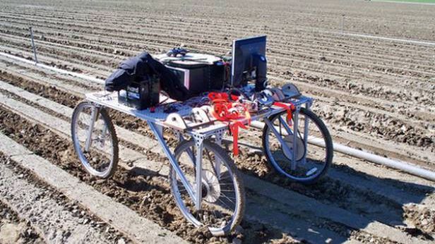 Lettuce Bot - automatyczny morderca chwastów. Koniec z pestycydami? 1