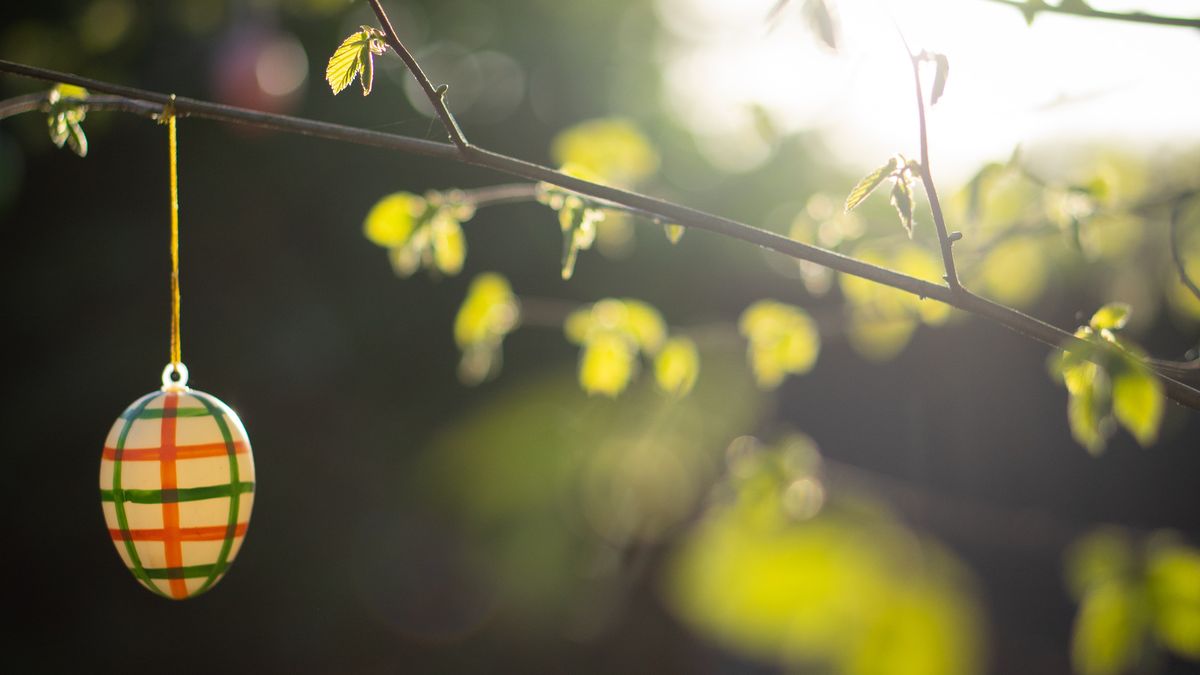 Jaka pogoda czeka nas w Wielkanoc?