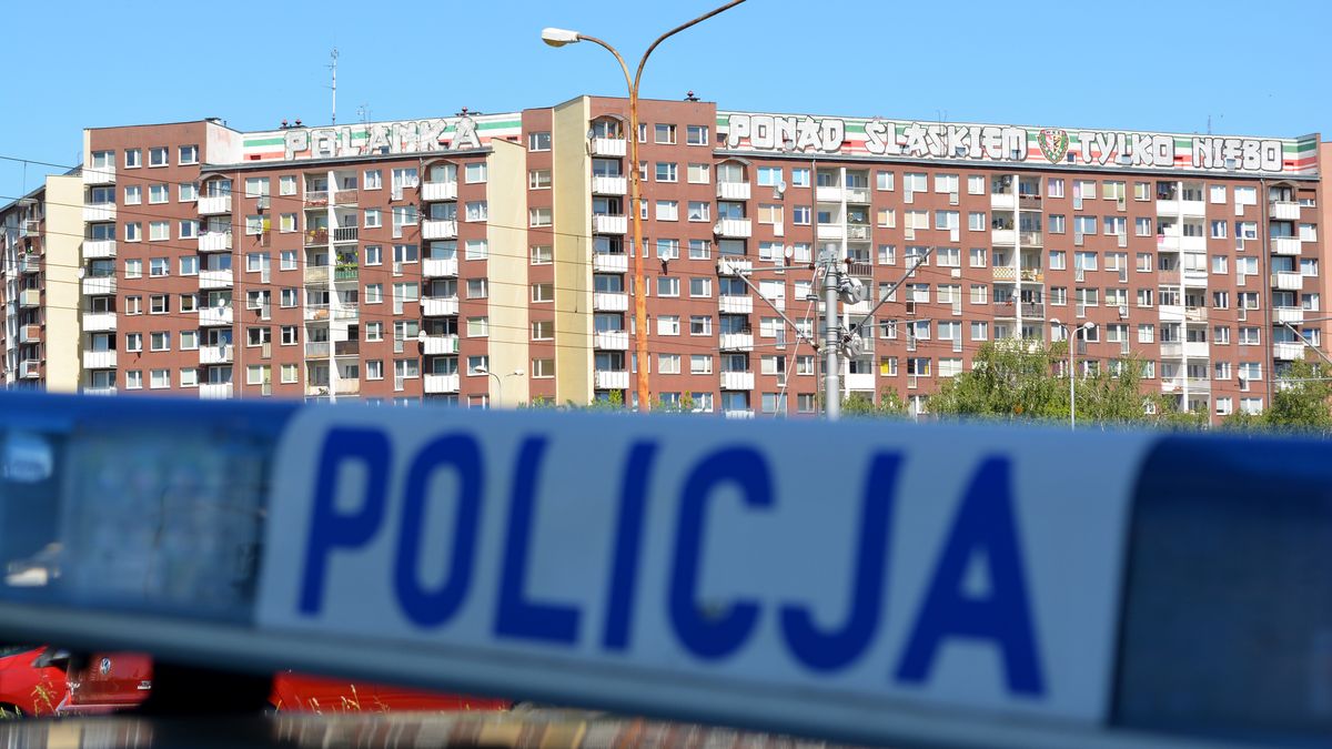 policja kogut policyjny radiowóz