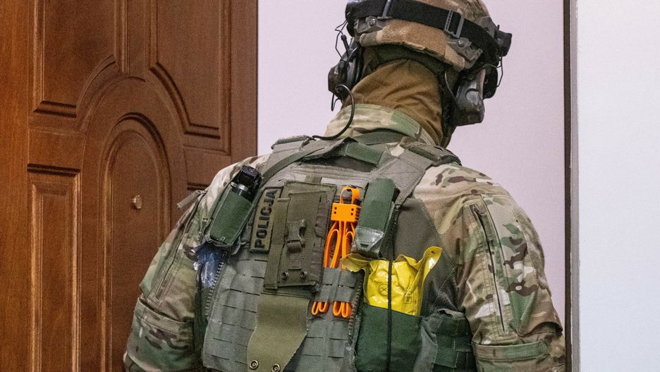 W zatrzymaniu brały udział różne służby 