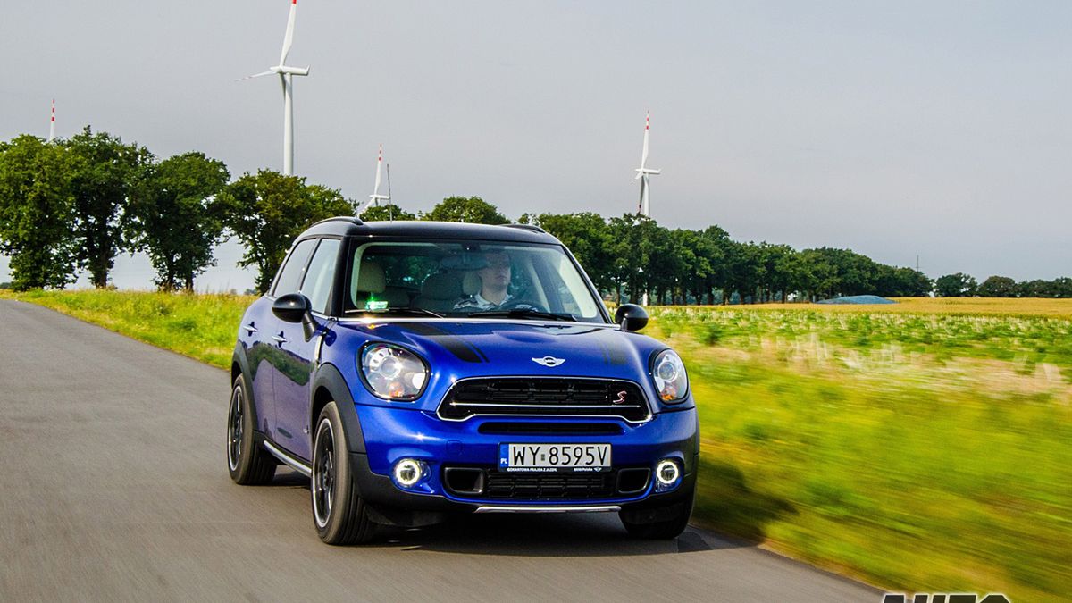 Zdjęcie ilustracyjne do artykułu