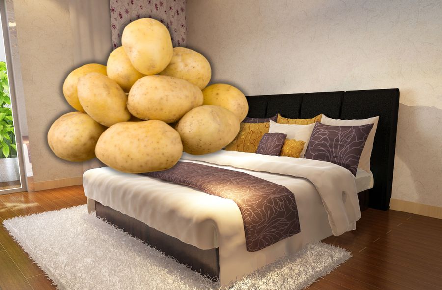 Potato bed - czym jest?